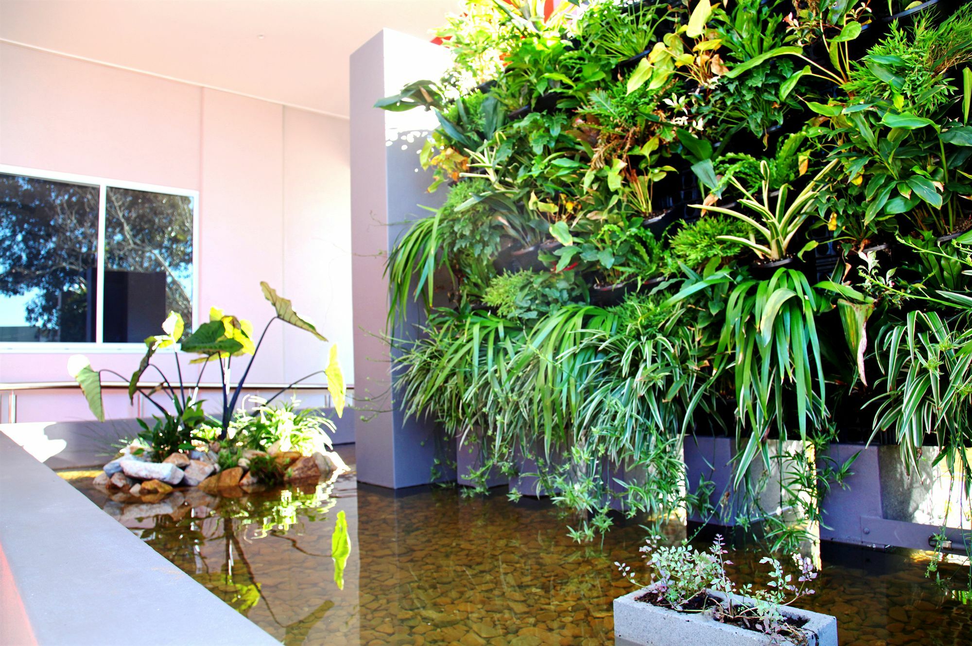 Laguna Serviced Apartments Toowoomba Exterior foto